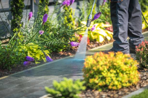 Trusted Bagdad, FL Pressure Washing Experts