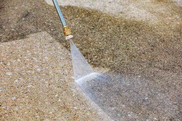 Best Animal Enclosure Cleaning  in Bagdad, FL