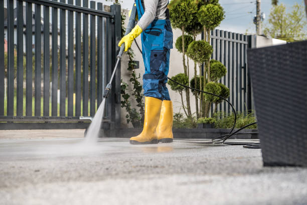 Best Gutter Cleaning  in Bagdad, FL